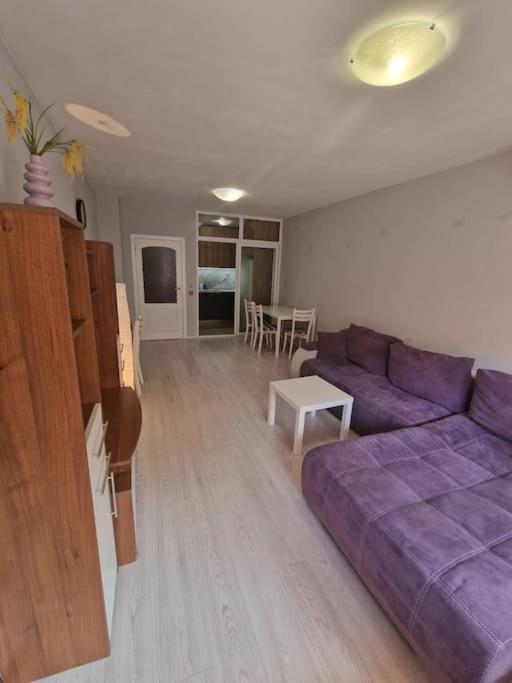 Cozy Central Apartment In Outskirts Of Old Sofia Zewnętrze zdjęcie